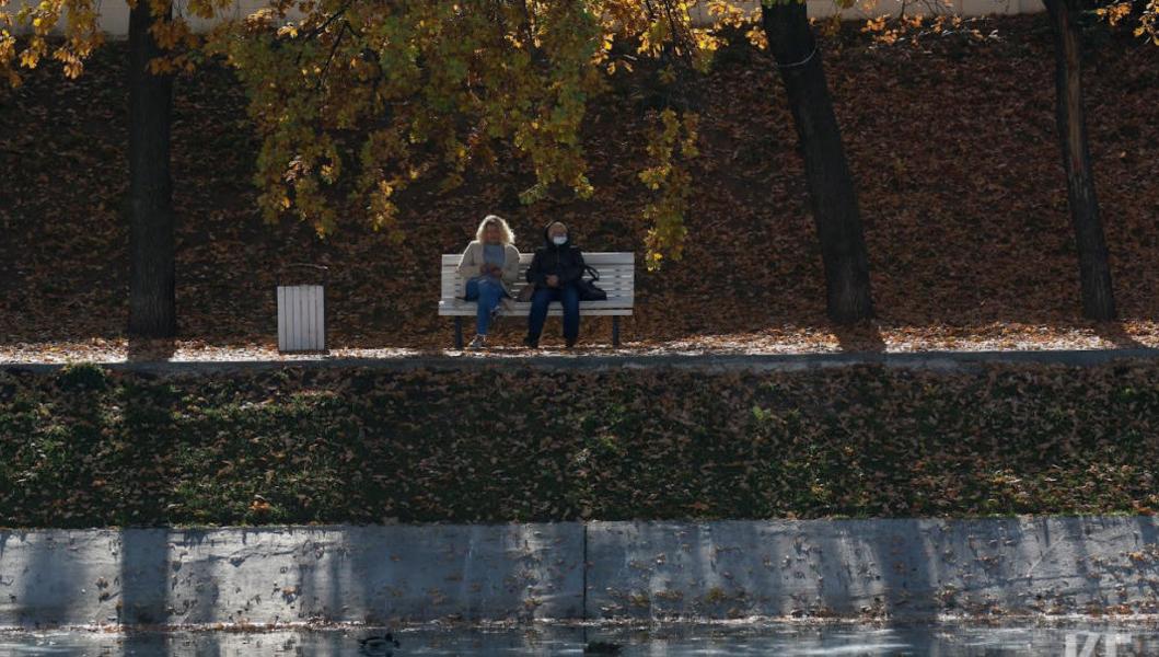 Родологию взяли на вооружение мошенники