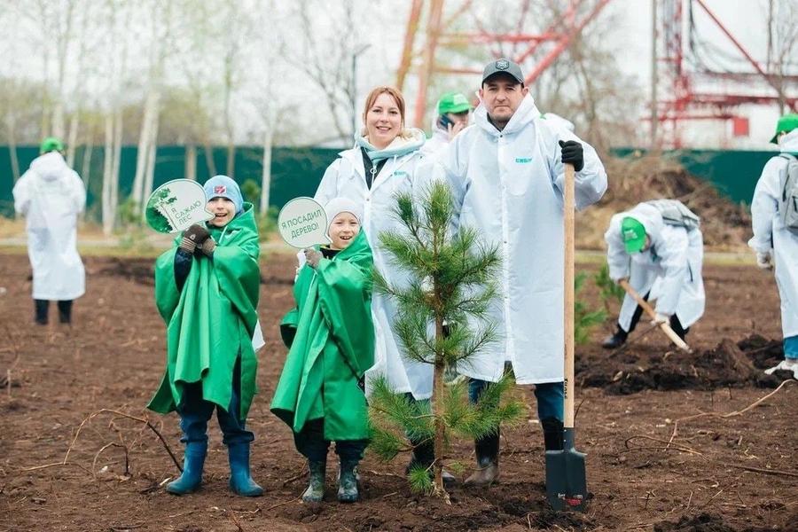 В Нижнекамске в парке «Семья» при поддержке СИБУРа высадили 800 саженцев кедров