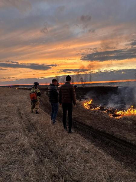 В Нижнекамске на поле выгорело 1,5 гектара сухостоя
