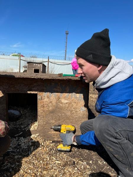 Волонтеры «Нижнекамскнефтехима» навестили питомцев в приюте и помогли работникам навести порядок