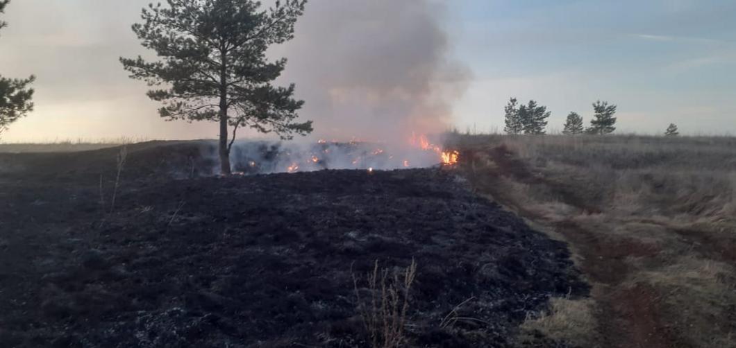 В Нижнекамске и районе с начала схода снега поля горели 29 раз