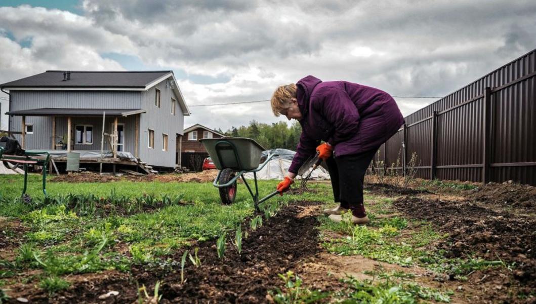 «Игра садоводов» или распад Союза «Игра садоводов» или распад Союза