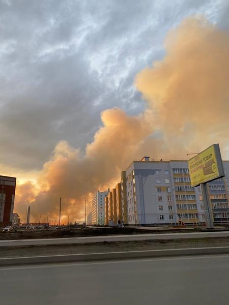 В Нижнекамске на поле выгорело 1,5 гектара сухостоя