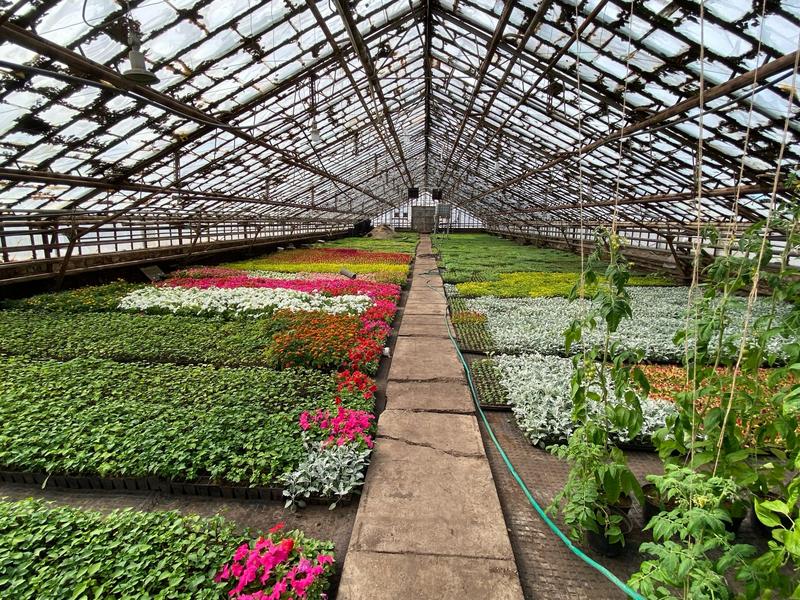 В Нижнекамске до июня высадят более 180 тысяч цветов В Нижнекамске до июня высадят более 180 тысяч цветов