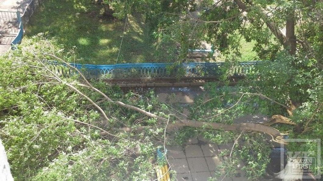 Ураган в Челнах валил деревья на авто, сносил заборы и балконные рамы