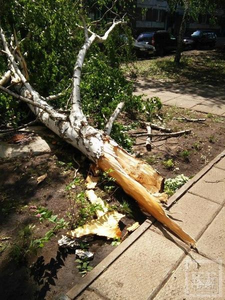 Ураган в Челнах валил деревья на авто, сносил заборы и балконные рамы