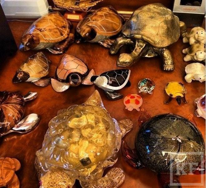 Рустам Минниханов поделился в instagram фотографиями своей коллекции черепах
