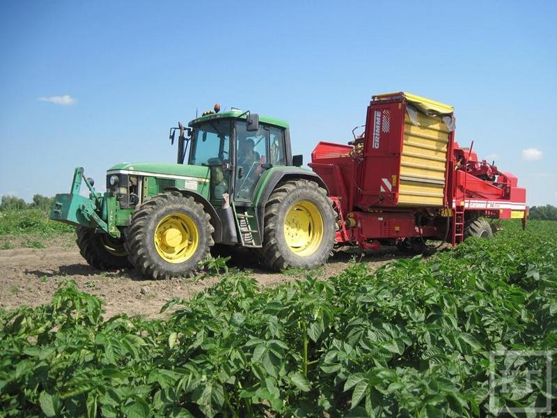 Министр сельского хозяйства РТ: «В этом году у нас не будет никаких проблем по овощам, по картофелю»