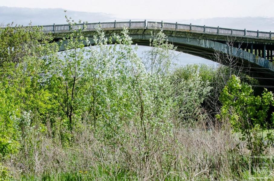 Градозащитники предлагают не сносить Горбатый мост через старое русло Казанки, а восстановить его и создать на нем крытые рестораны