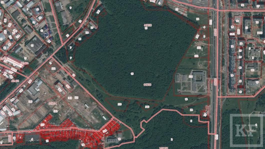 Общественники Казани нашли на кадастровой карте шесть участков под застройку в парках Ометьевского и Горкинского лесов