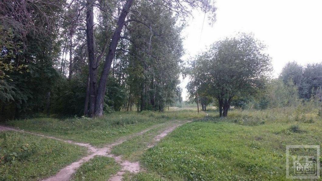 Общественники Казани нашли на кадастровой карте шесть участков под застройку в парках Ометьевского и Горкинского лесов