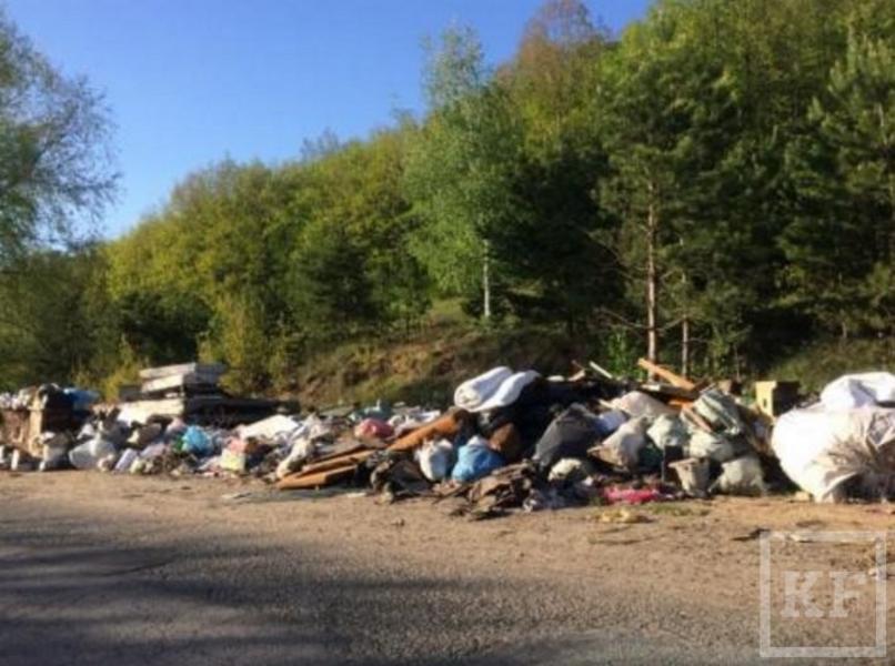 В Пестречинском районе из-за вывоза мусора конфликтуют компания «Мехуборка» и местная УК. Власти в ответ решили обложить население дополнительной платой
