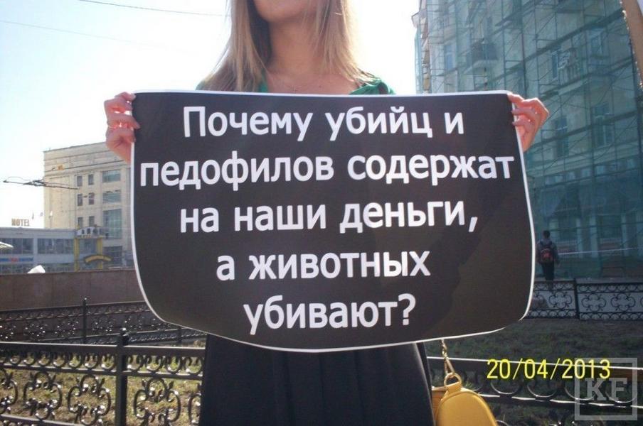 Зоозащитников в Казани становится все больше