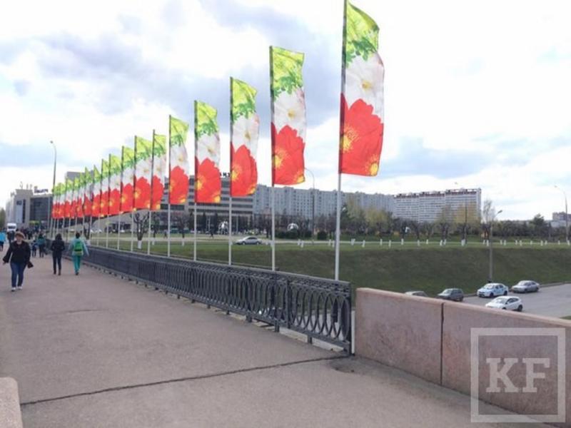 Челнинский учитель заметил, что флаги с городских проспектов на сайте госзакупок «подорожали» на 1 млн рублей