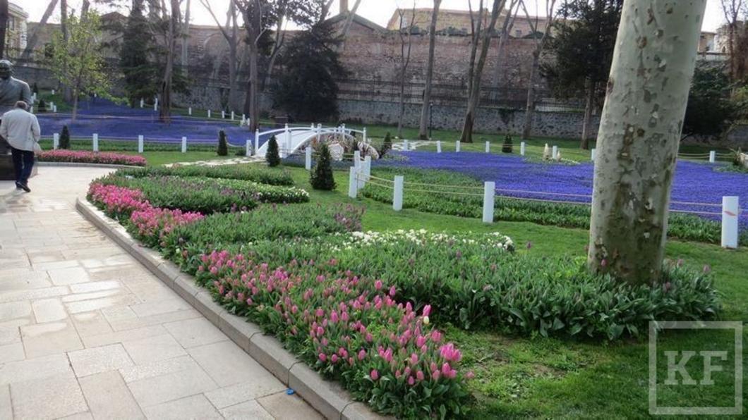 Работники «Горзеленхоза» Набережных Челнов вернулись из Турции с фестиваля тюльпанов