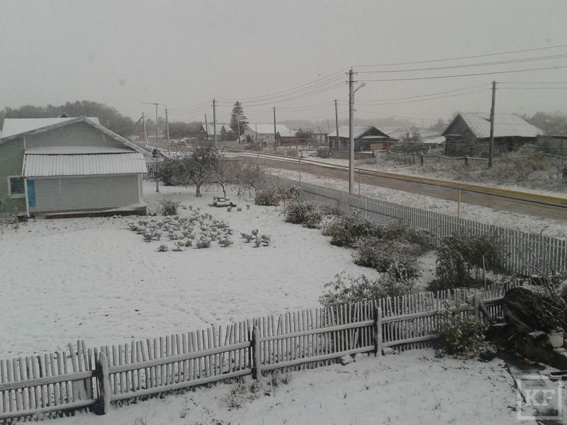 В некоторых районах Татарстана сегодня выпал первый снег
