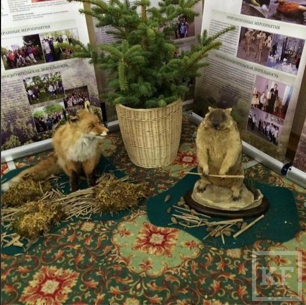 Рустам Минниханов выложил в Instagram фото хищников Татарстана