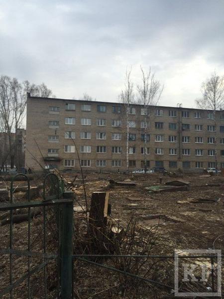 Жители Альметьевска жалуются на свалку спиленных деревьев