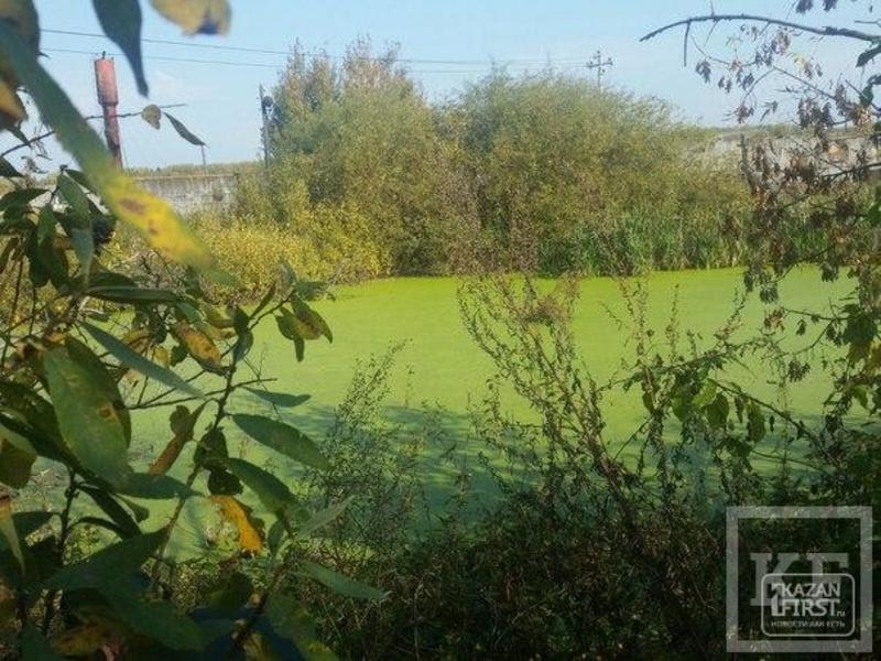 Поселок Октябрьский близ Казани попал в экологический скандал