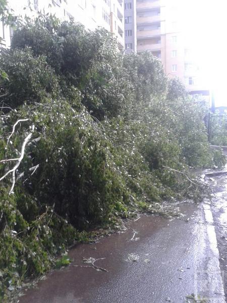 Последствия урагана в Казани: сорванные кровли, поваленные ветром деревья и рекламные щиты