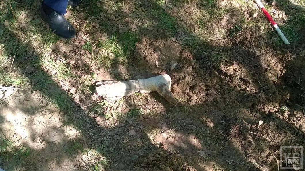 Следком обнаружил новые останки тел в поселке Озерный Высокогорского района РТ