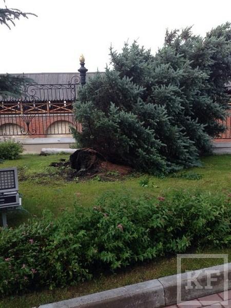 Последствия урагана в Казани: сорванные кровли, поваленные ветром деревья и рекламные щиты