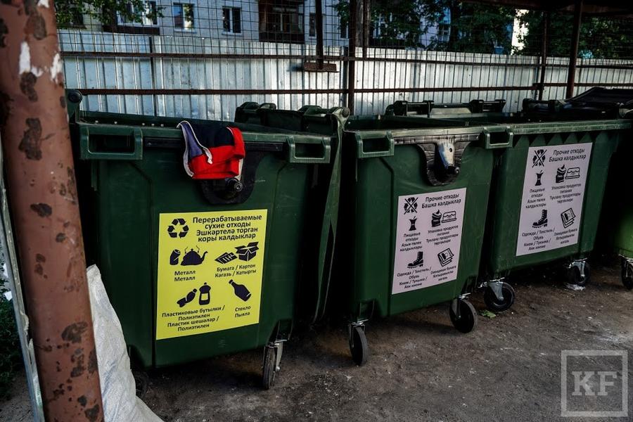 В Казани запустили эксперимент по раздельному сбору мусора: зачем нам это надо