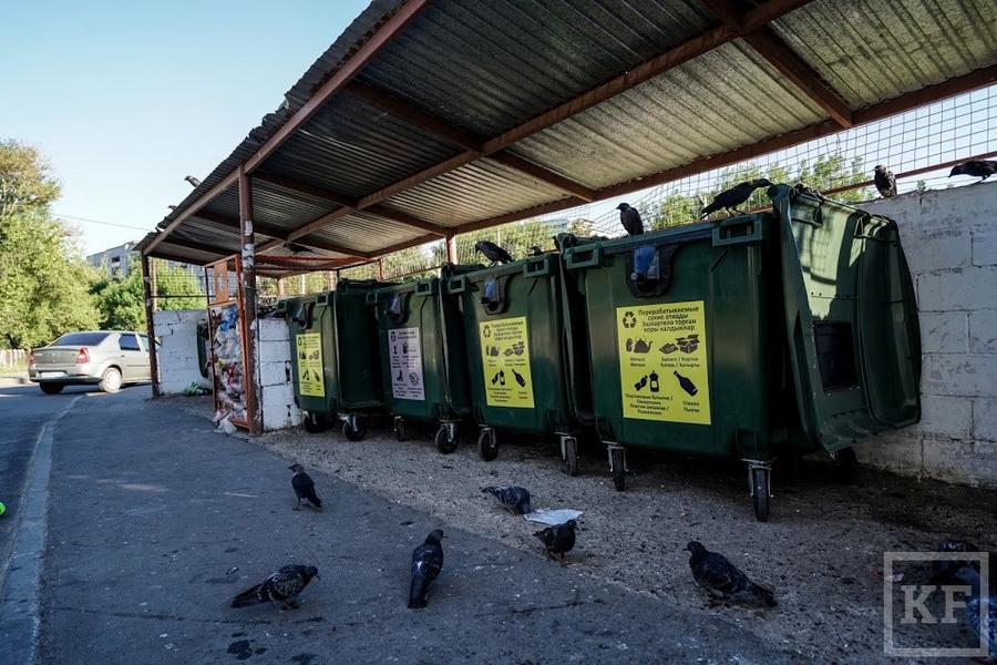 В Казани запустили эксперимент по раздельному сбору мусора: зачем нам это надо