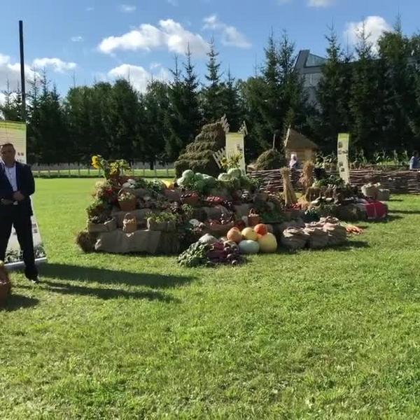 Минниханов опубликовал видео с посещения фермы в Кукморском районе РТ