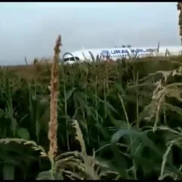Пилот Дамир Юсупов, посадивший самолет в кукурузное поле, возил команды «Ак Барс» и «Рубин»