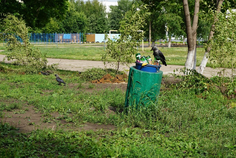 «Голубиные» бульвары: общественные пространства Челнов остаются в запустении