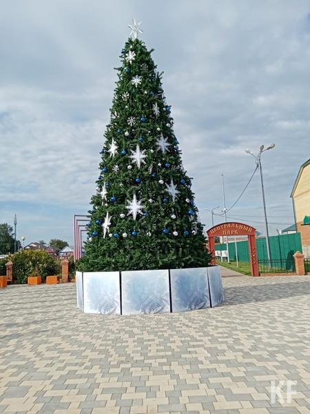 В татарстанском селе Базарные Матаки к концу лета установили новогоднюю елку
