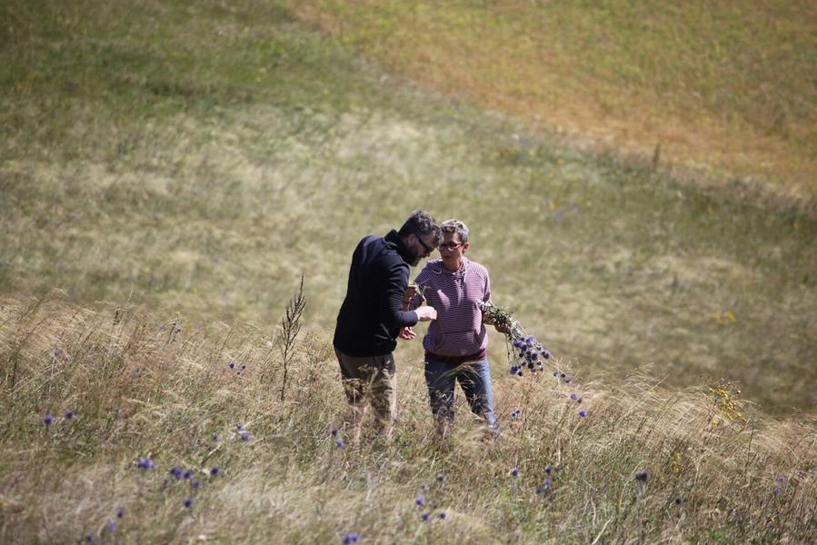 В рамках «Сказок о золотых яблоках» исследовали целебные травы Альметьевского района