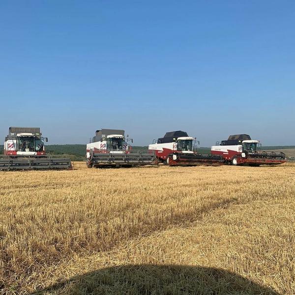 Тимур Нагуманов вручил альметьевским комбайнерам денежные премии Тимур Нагуманов вручил альметьевским комбайнерам денежные премии