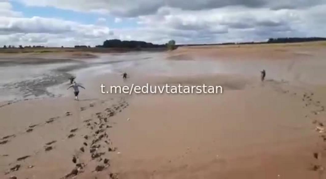На берегу спущенного пруда у села в Татарстане нашли гниющую рыбу На берегу спущенного пруда у села в Татарстане нашли гниющую рыбу