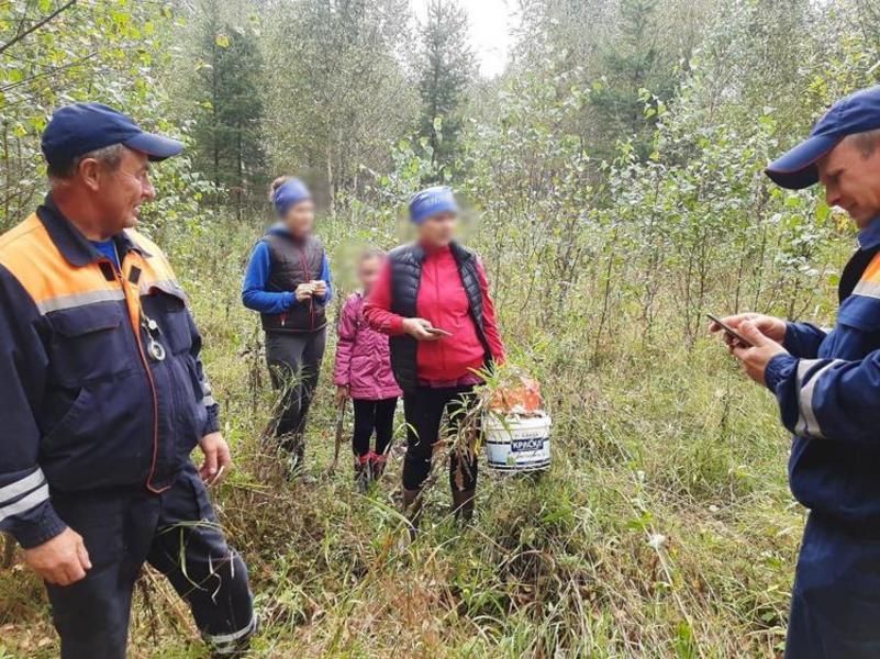 Спасатели из Татарстана спасли семью, которая вышла собирать грибы в лес и потерялась