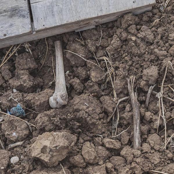 «Отдыхаем на человеческих костях»: в Татарстане организовали глэмпинг прямо на старом кладбище