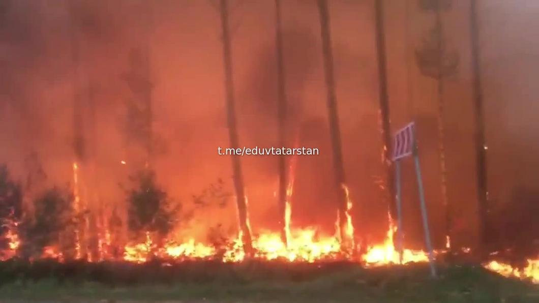 Перекинувшийся в деревню Студенка лесной пожар в Марий Эл локализован