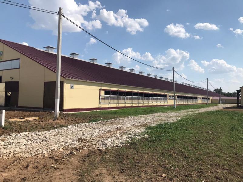 В Татарстане появится мегаферма на  960 голов скота