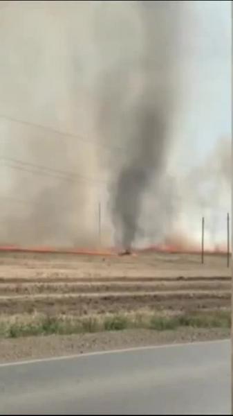Жители Башкирии засняли на видео огненный торнадо на пастбище