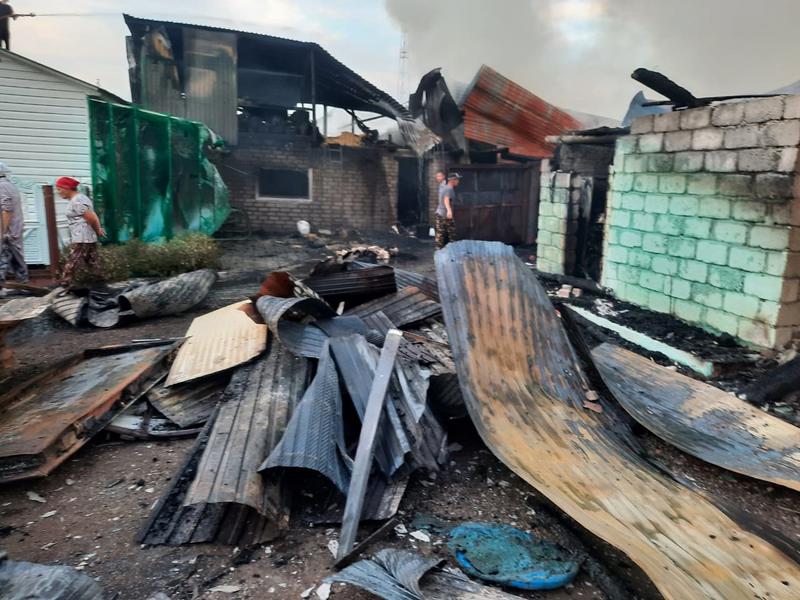 Хозяева горевших в Нижнекамском районе построек спасли скот