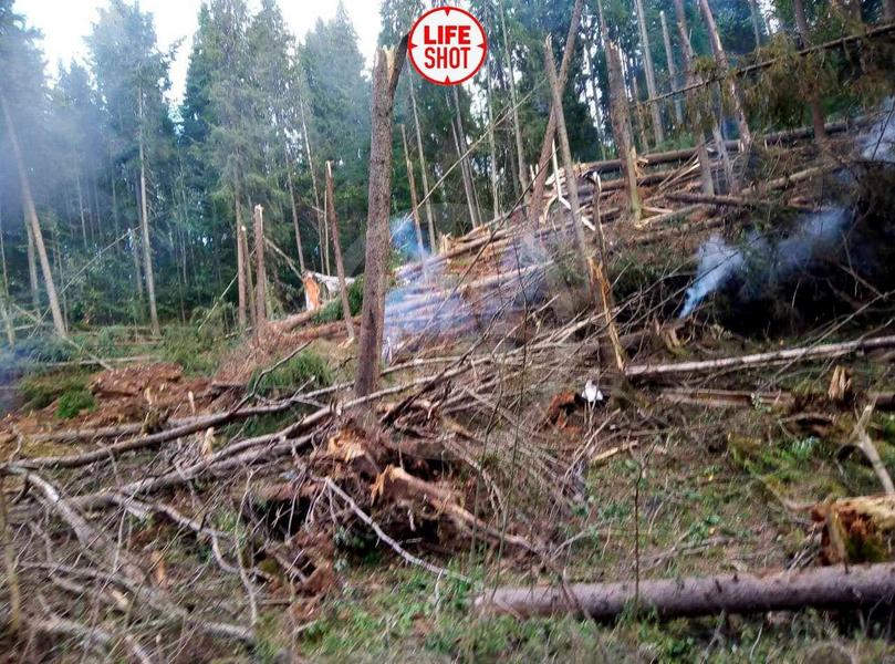 В Пермском крае разбился бомбардировщик Су-24: пилоты катапультировались