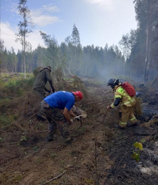 В Марий Эл удалось локализовать лесные пожары на 27 га ​