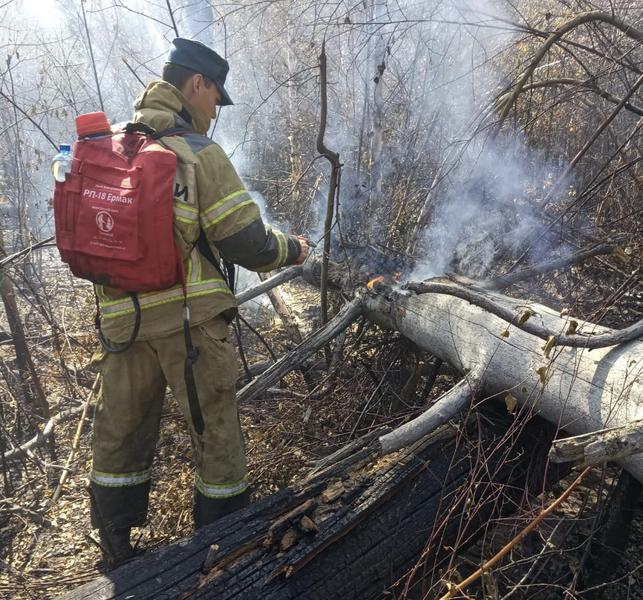 Аэромобильная группировка МЧС Татарстана работает в Мордовии на тушении пожаров