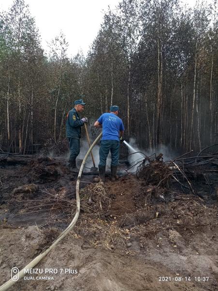 Аэромобильная группировка МЧС Татарстана прибыла в Мордовию для помощи в тушении пожаров