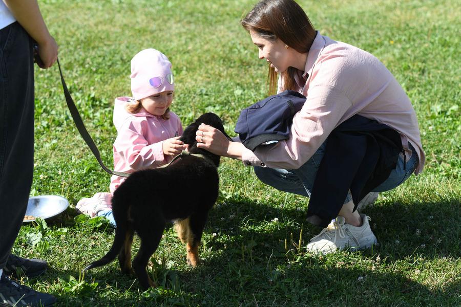 Ильсур Метшин: Очень хочется, чтобы Казань стала городом без бездомных животных