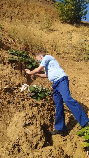 Прокуратура проверяет информацию о человеческих останках, найденных в Камско-Устьинском районе