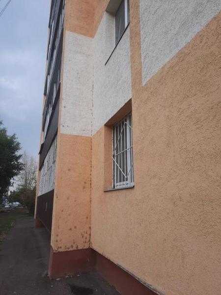 Нижнекамская многоэтажка покрылась плесенью