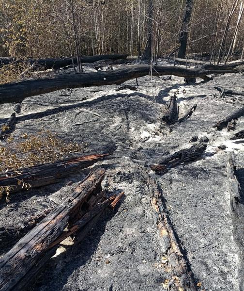 Аэромобильная группировка МЧС Татарстана работает в Мордовии на тушении пожаров