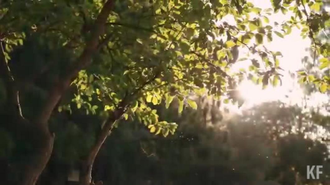 Рустам Минниханов опубликовал видео по случаю 100-летия со дня рождения автора гимна Татарстана